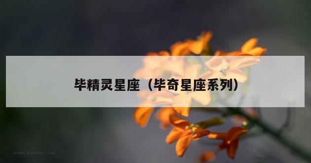 毕精灵星座（毕奇星座系列）