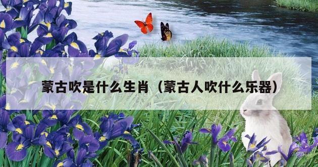 蒙古吹是什么生肖（蒙古人吹什么乐器）