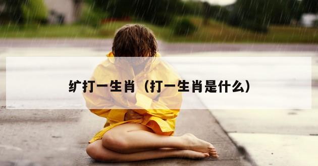 纩打一生肖（打一生肖是什么）