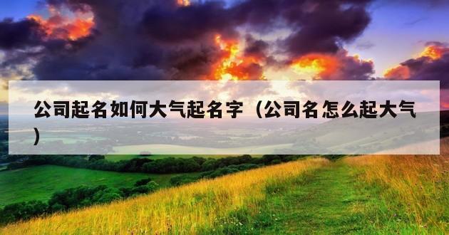 公司起名如何大气起名字（公司名怎么起大气）