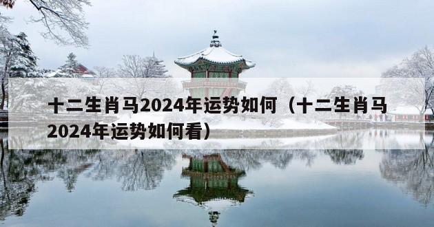 十二生肖马2024年运势如何（十二生肖马2024年运势如何看）