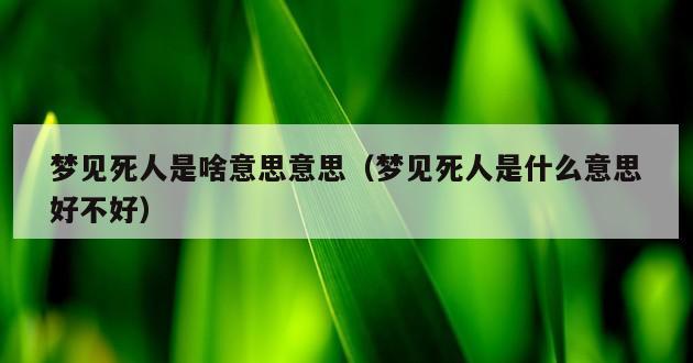 梦见死人是啥意思意思（梦见死人是什么意思好不好）