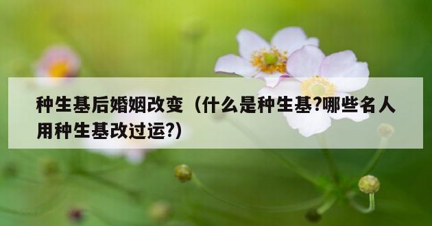 种生基后婚姻改变（什么是种生基?哪些名人用种生基改过运?）