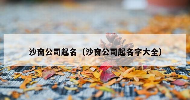 沙窗公司起名（沙窗公司起名字大全）