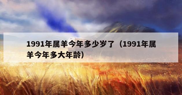 1991年属羊今年多少岁了（1991年属羊今年多大年龄）