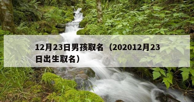 12月23日男孩取名（202012月23日出生取名）