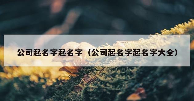 公司起名字起名字（公司起名字起名字大全）