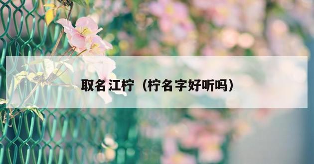 取名江柠（柠名字好听吗）