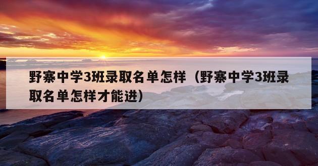 野寨中学3班录取名单怎样（野寨中学3班录取名单怎样才能进）