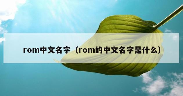 rom中文名字（rom的中文名字是什么）