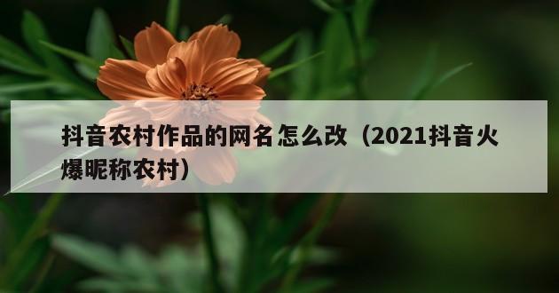 抖音农村作品的网名怎么改（2021抖音火爆昵称农村）