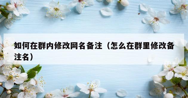 如何在群内修改网名备注（怎么在群里修改备注名）