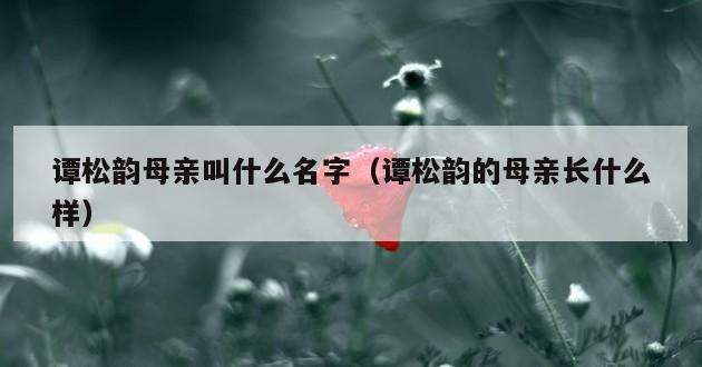 谭松韵母亲叫什么名字（谭松韵的母亲长什么样）