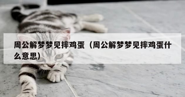 周公解梦梦见摔鸡蛋（周公解梦梦见摔鸡蛋什么意思）