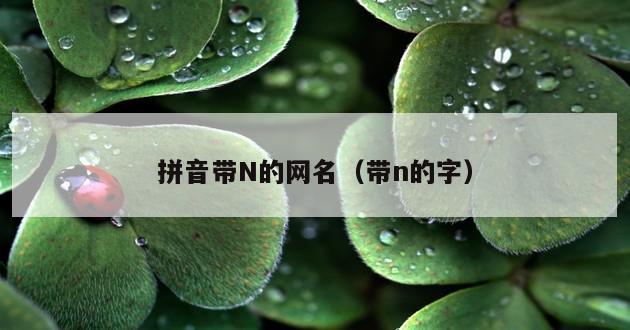 拼音带N的网名（带n的字）