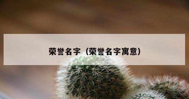 荣誉名字（荣誉名字寓意）