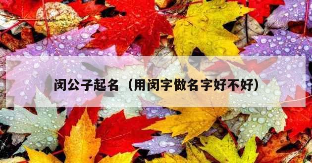 闵公子起名（用闵字做名字好不好）