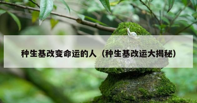 种生基改变命运的人（种生基改运大揭秘）