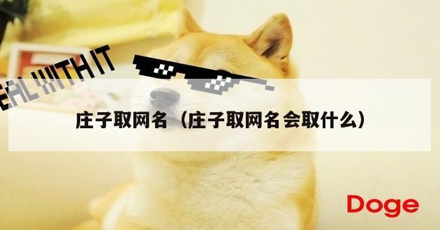 庄子取网名（庄子取网名会取什么）