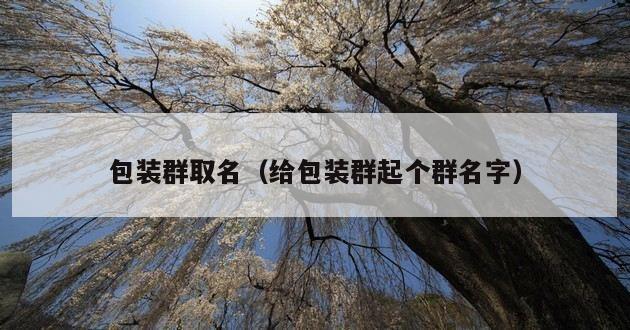 包装群取名（给包装群起个群名字）