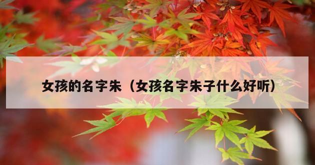 女孩的名字朱（女孩名字朱子什么好听）