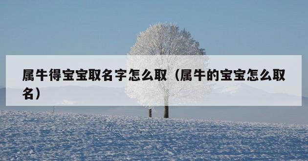 属牛得宝宝取名字怎么取（属牛的宝宝怎么取名）