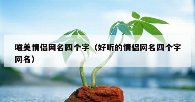 唯美情侣网名四个字（好听的情侣网名四个字网名）