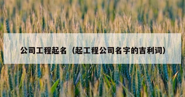 公司工程起名（起工程公司名字的吉利词）