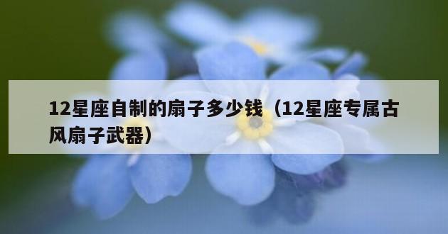 12星座自制的扇子多少钱（12星座专属古风扇子武器）