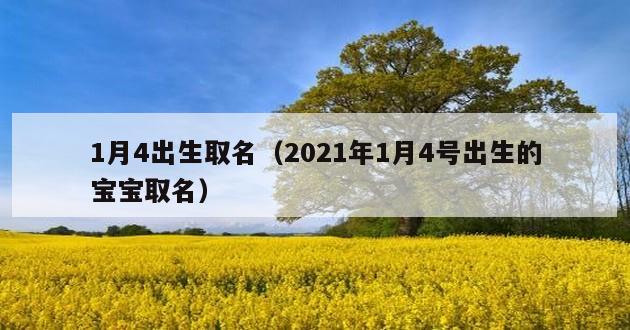 1月4出生取名（2021年1月4号出生的宝宝取名）