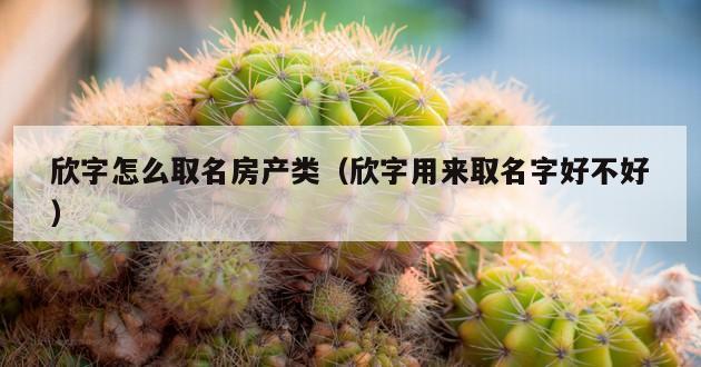 欣字怎么取名房产类（欣字用来取名字好不好）