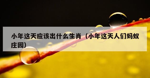 小年这天应该出什么生肖（小年这天人们蚂蚁庄园）