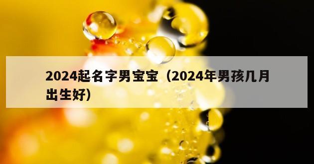 2024起名字男宝宝（2024年男孩几月出生好）