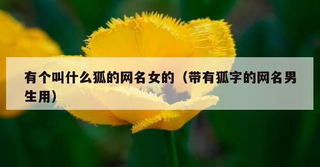 有个叫什么狐的网名女的（带有狐字的网名男生用）