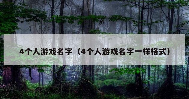 4个人游戏名字（4个人游戏名字一样格式）