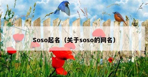 Soso起名（关于soso的网名）