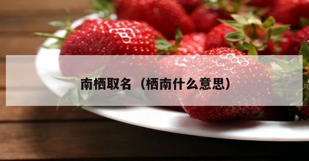 南栖取名（栖南什么意思）