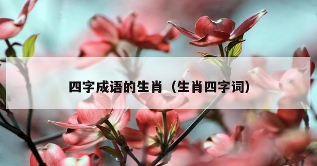 四字成语的生肖（生肖四字词）